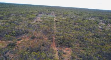 Residential Block For Sale - SA - Sedan - 5353 - Scale and unlimited potential: 2 quality allotments in an expansive location. Combined 360 Ha (approx.) of peace and nature.  (Image 2)