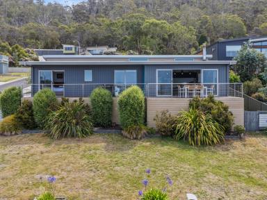 House For Sale - TAS - Bicheno - 7215 - Sunrises, Sea, Sand & Surf  (Image 2)