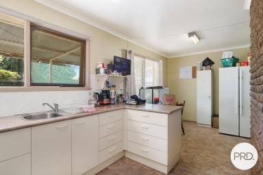 House For Sale - NSW - Lavington - 2641 - CONVENIENT LAVINGTON LOCATION  (Image 2)
