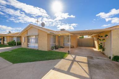 Unit For Sale - VIC - Mildura - 3500 - COMFORTABLE EASY LIVING (Image 2)