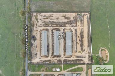 Other (Rural) For Sale - VIC - Avoca - 3467 - Rare Storage Opportunity in the Pyrenees ranges (Image 2)