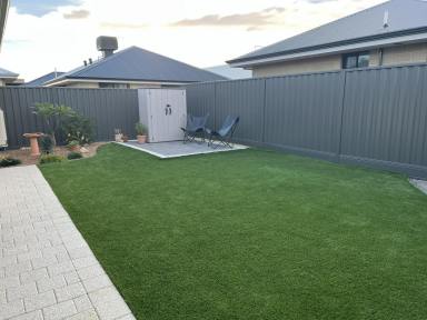 House For Sale - WA - Lakelands - 6180 - ITS A LITTLE RIPPER  (Image 2)