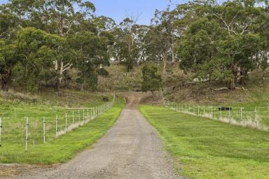 Livestock For Sale - VIC - Pomborneit - 3260 - RICH VOLCANIC CAMPERDOWN DISTRICT LAND  (Image 2)