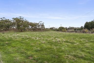 Livestock For Sale - VIC - Pomborneit - 3260 - RICH VOLCANIC CAMPERDOWN DISTRICT LAND  (Image 2)
