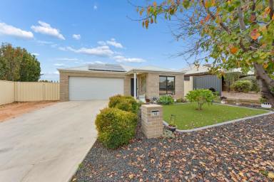 House For Sale - VIC - Red Cliffs - 3496 - SPACE, COMFORT & THE ULTIMATE SHED SETUP!  (Image 2)