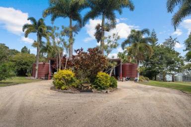 Acreage/Semi-rural For Sale - QLD - Speewah - 4881 - Established Rural Estate with Dual Accommodation  (Image 2)