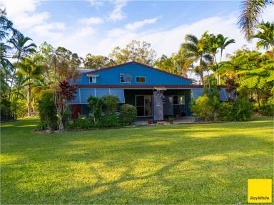 Acreage/Semi-rural Auction - QLD - Speewah - 4881 - Established Rural Estate with Dual Accommodation (Image 2)