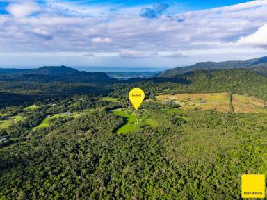 Acreage/Semi-rural Auction - QLD - Speewah - 4881 - Established Rural Estate with Dual Accommodation (Image 2)