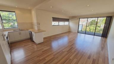 Apartment For Lease - TAS - Sandy Bay - 7005 - Large Sandy Bay Apartment  (Image 2)