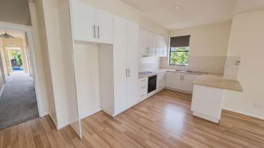 Apartment For Lease - TAS - Sandy Bay - 7005 - Large Sandy Bay Apartment  (Image 2)