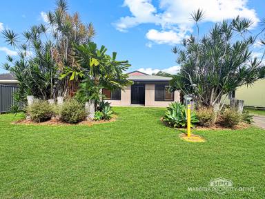 House Sold - QLD - Mareeba - 4880 - IMMACULATE FAMILY LIVING + SHED & ENTERTAINING SPACE  (Image 2)