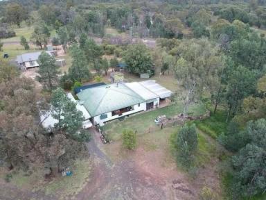 Lifestyle For Sale - QLD - Miles - 4415 - "TOWN & COUNTRY"  - Two Homes on Rural Acreage Only 5 Minutes From Miles  (Image 2)