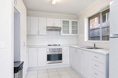 House For Sale - NSW - Surfside - 2536 - Single Level Living  (Image 2)