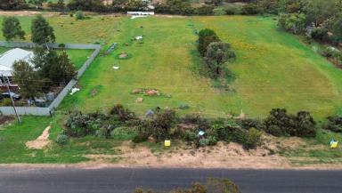 Residential Block For Sale - VIC - Murrayville - 3512 - Just under one acre vacant land in Murrayville! (Image 2)
