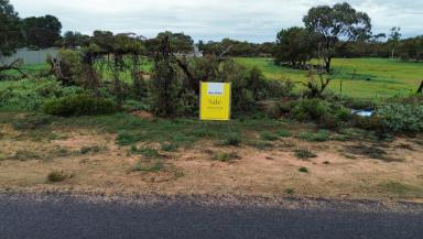 Residential Block For Sale - VIC - Murrayville - 3512 - Just under one acre vacant land in Murrayville! (Image 2)
