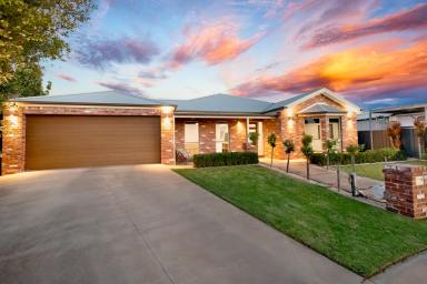 House For Sale - VIC - Red Cliffs - 3496 - Spacious Family Living with Exceptional Entertaining  (Image 2)