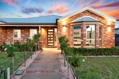 House For Sale - VIC - Red Cliffs - 3496 - Spacious Family Living with Exceptional Entertaining  (Image 2)