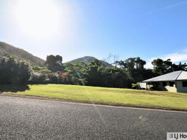 Residential Block For Sale - QLD - Tully - 4854 - Rare Pease Street Opportunity with Stunning Mountain Views  (Image 2)