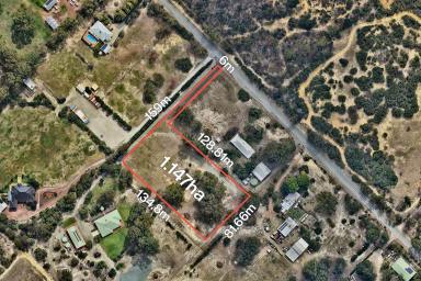 Residential Block For Sale - WA - Orange Grove - 6109 - Build Your Dream Home & Bring the Horses  (Image 2)