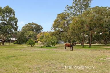 Residential Block For Sale - WA - Orange Grove - 6109 - Build Your Dream Home & Bring the Horses  (Image 2)