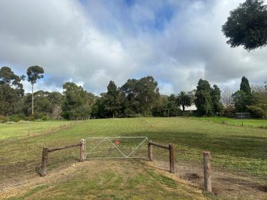 Residential Block For Sale - SA - Naracoorte - 5271 - Country vista with town amenities closeby (Image 2)