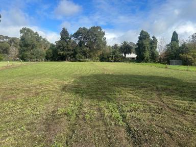 Residential Block For Sale - SA - Naracoorte - 5271 - Country vista with town amenities closeby (Image 2)