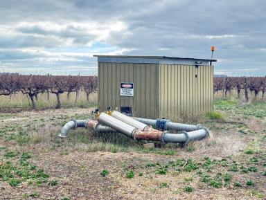 Lifestyle For Sale - SA - Coonawarra - 5263 - 123 Acres of Prime Cropping/Grazing/Horticultural Land Minutes from Penola (Image 2)
