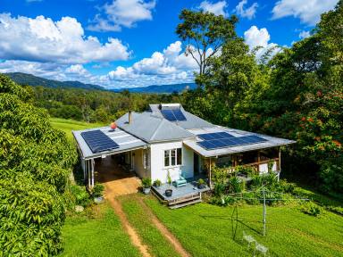 Lifestyle For Sale - NSW - Nimbin - 2480 - FIREFLY FOREST FARM  (Image 2)