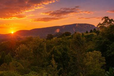 Lifestyle For Sale - NSW - Nimbin - 2480 - MOTIVATED VENDOR  (Image 2)