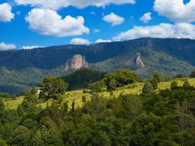 Lifestyle For Sale - NSW - Nimbin - 2480 - MOTIVATED VENDOR  (Image 2)