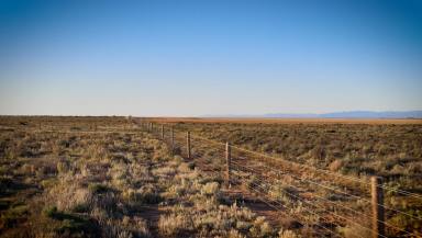 Livestock For Sale - SA - Port Davis - 5540 - 'Enderley' - Where lifestyle meets the farm!  (Image 2)