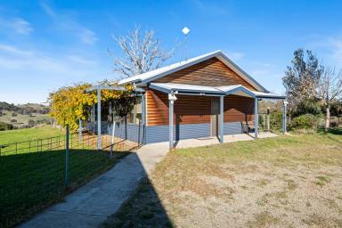 House For Sale - VIC - Bobinawarrah - 3678 - "Wake Up to the Wedge-Tailed Eagle" – A Rare Hilltop Sanctuary Above the Valley  (Image 2)