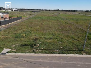 Residential Block For Sale - VIC - Shepparton North - 3631 - Large 2,143m2 Block in Popular Lauriston Estate - Shepparton North  (Image 2)