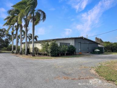 Horticulture For Sale - QLD - Mareeba - 4880 - LOCATION, LOCATION - LAND BANK FOR THE FUTURE  (Image 2)