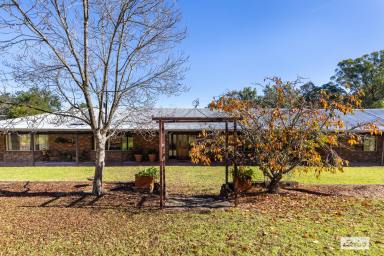 Acreage/Semi-rural For Sale - NSW - Kanoona - 2550 - ULTIMATE FAMILY LIFESTYLE ON 13.6 ACRES  (Image 2)