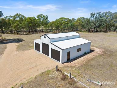Lifestyle For Lease - VIC - Wangaratta South - 3678 - 10 Acres with Large Shed, Ideal for Horses, Machinery or Rural Storage (Image 2)