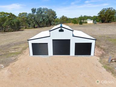Lifestyle For Lease - VIC - Wangaratta South - 3678 - 10 Acres with Large Shed, Ideal for Horses, Machinery or Rural Storage (Image 2)