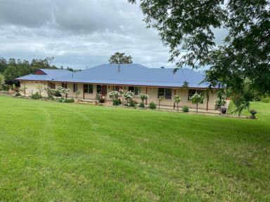 Mixed Farming For Sale - NSW - Kyogle - 2474 - A VISION SPLENDID  (Image 2)