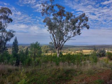 Other (Rural) For Sale - NSW - Warialda - 2402 - HillTop Farm - Lifestyle Block on Acres  (Image 2)