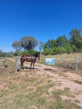 Other (Rural) For Sale - NSW - Warialda - 2402 - HillTop Farm - Lifestyle Block on Acres  (Image 2)