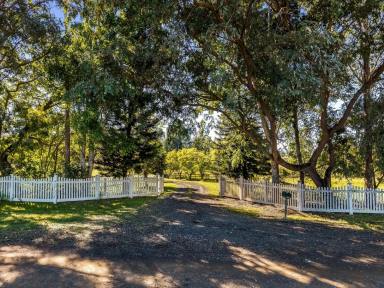 Lifestyle For Sale - NSW - Casino - 2470 - A PLACE TO CALL HOME (Image 2)