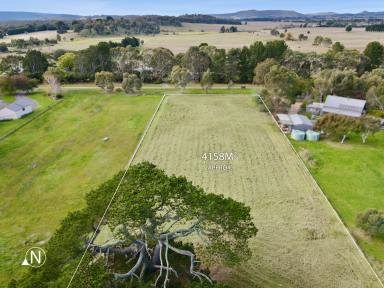 Residential Block For Sale - VIC - Carlsruhe - 3442 - Your Country Lifestyle Awaits! One acre vacant land.  (Image 2)
