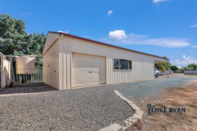 Residential Block For Sale - VIC - Rochester - 3561 - LARGE BLOCK WITH QUALITY SHEDDING  (Image 2)