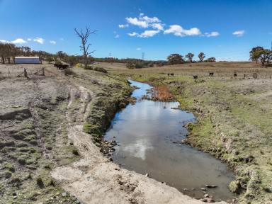Mixed Farming For Sale - NSW - Lue - 2850 - Dungaree  (Image 2)