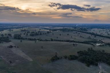 Cropping For Sale - VIC - Creightons Creek - 3666 - 'Akoonah' - Creightons Creek (Image 2)