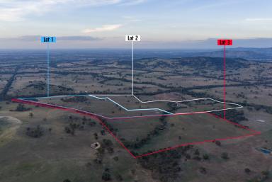 Cropping For Sale - VIC - Creightons Creek - 3666 - 'Akoonah' - Creightons Creek (Image 2)