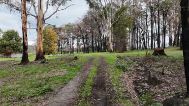 Lifestyle For Sale - VIC - Kawarren - 3249 - A Rare Chance to Rebuild, Reimagine & Create Something Truly Yours  (Image 2)