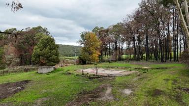 Lifestyle For Sale - VIC - Kawarren - 3249 - A Rare Chance to Rebuild, Reimagine & Create Something Truly Yours  (Image 2)