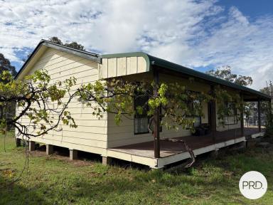 Lifestyle For Sale - NSW - Denman - 2328 - Lifestyle living on the doorstep of town  (Image 2)