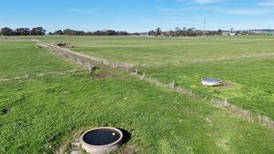Dairy For Sale - VIC - Larpent - 3249 - COLAC DISTRICT HOLDING (Image 2)